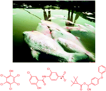 Jiang et al., Anal. Methods, 2013, Advance Article