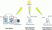 Titania nanotubes have promising photo-oxidative and photo-reductive activities.