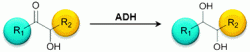 Challenging enzymatic stereoselective reduction of sterically demanding substrates.