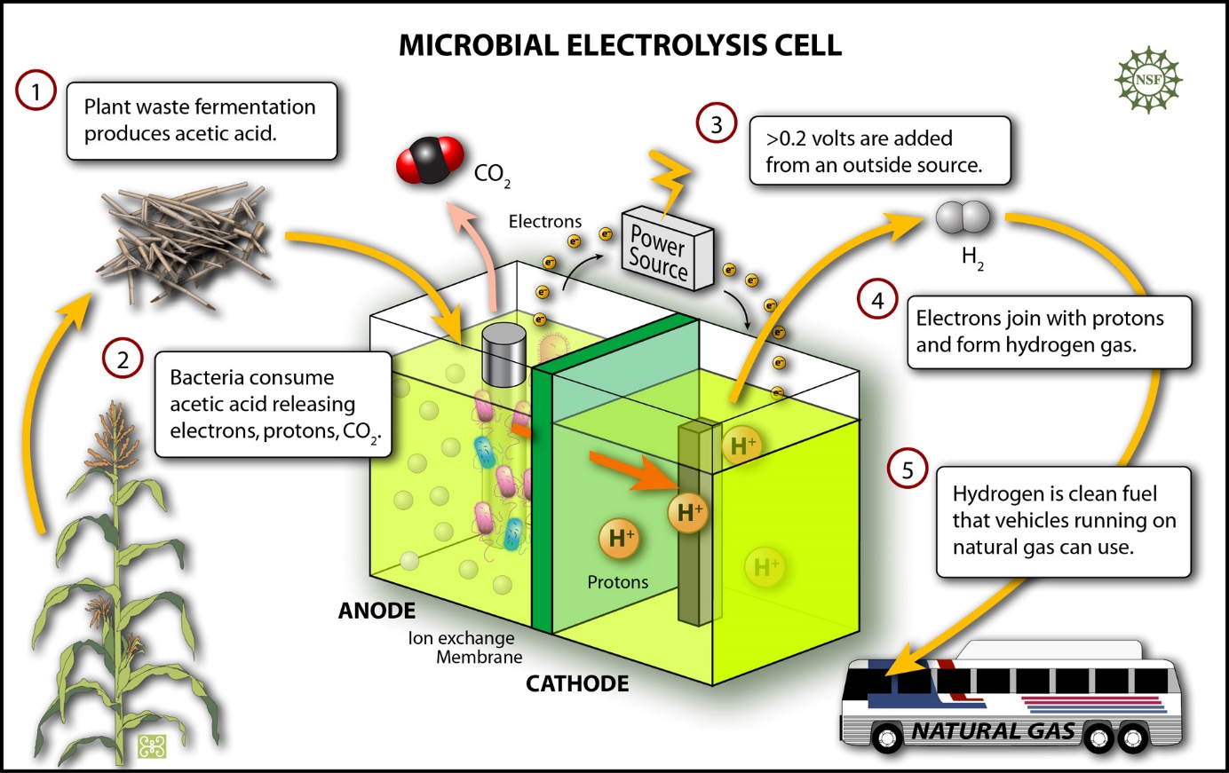 Microbial Electrolysis Cell