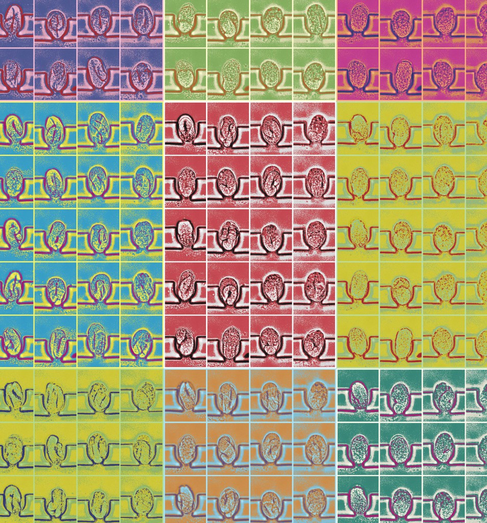Through Warhol's eyepiece (064)