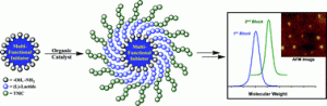Graphical abstract: Facile routes to star polymers via an organocatalytic approach