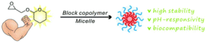 Paper of the month December